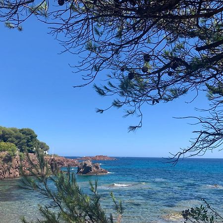 Studio Climatise Avec Piscine Saint-Raphaël المظهر الخارجي الصورة