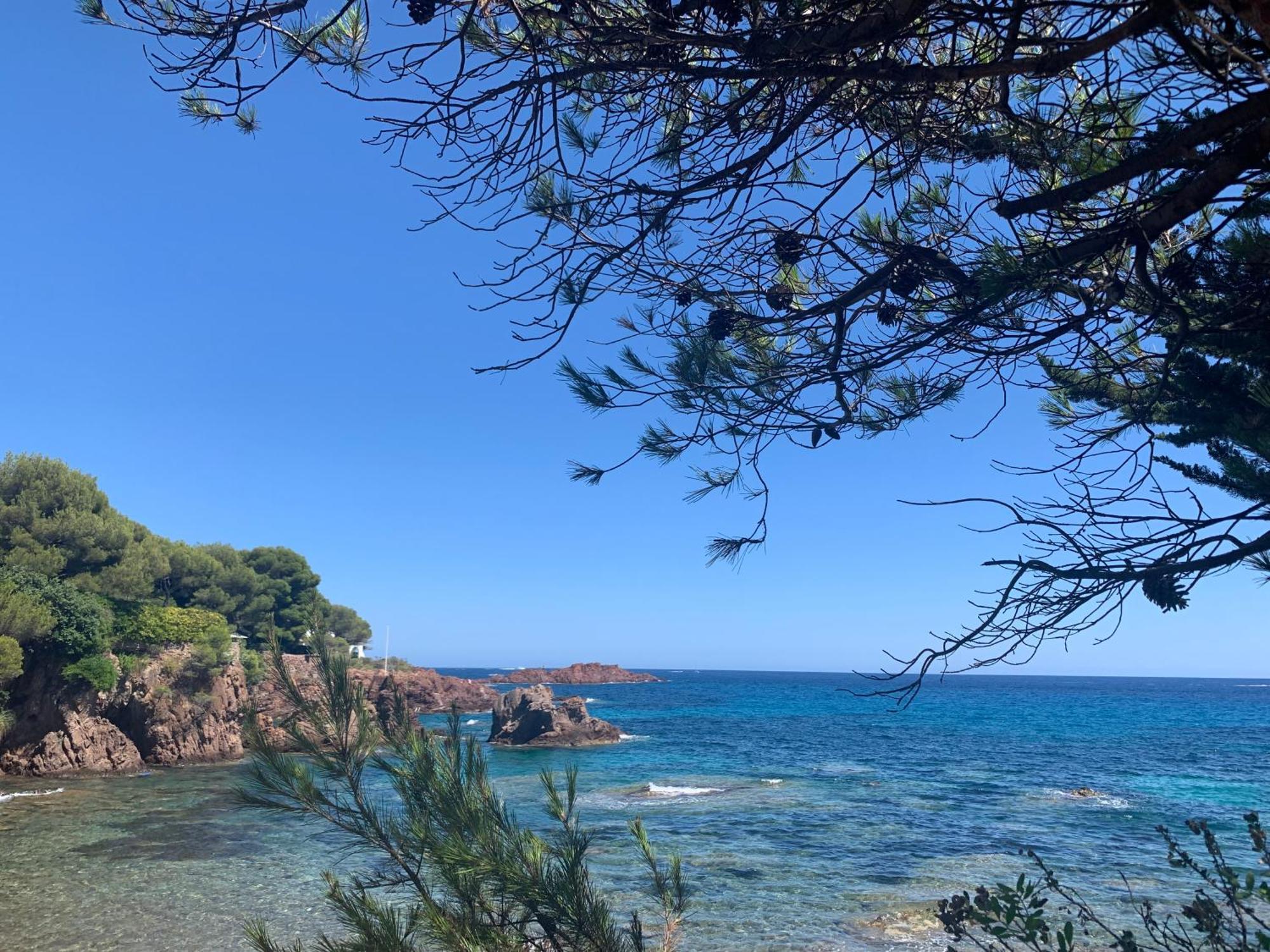 Studio Climatise Avec Piscine Saint-Raphaël المظهر الخارجي الصورة